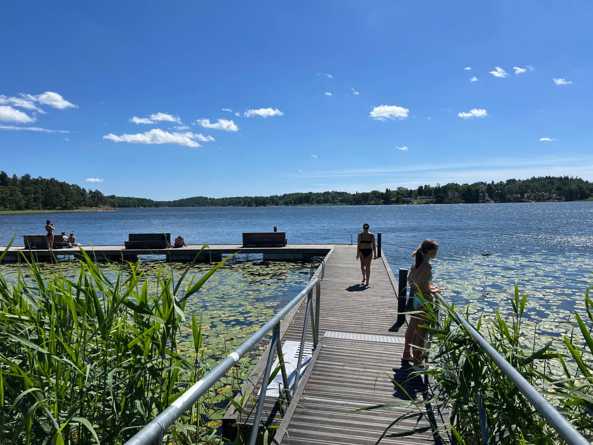 The jetty