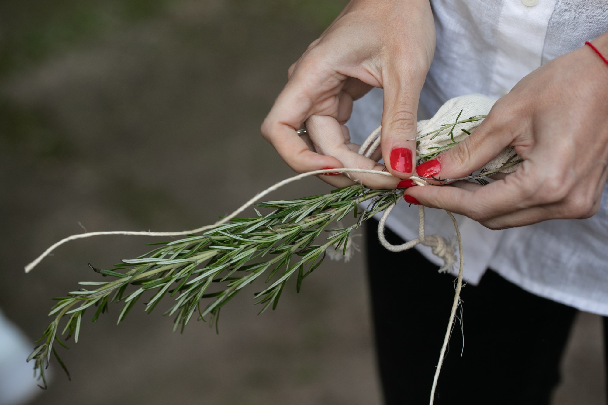 Hands tying a bundle of rosemary with twine at Ekskäret
