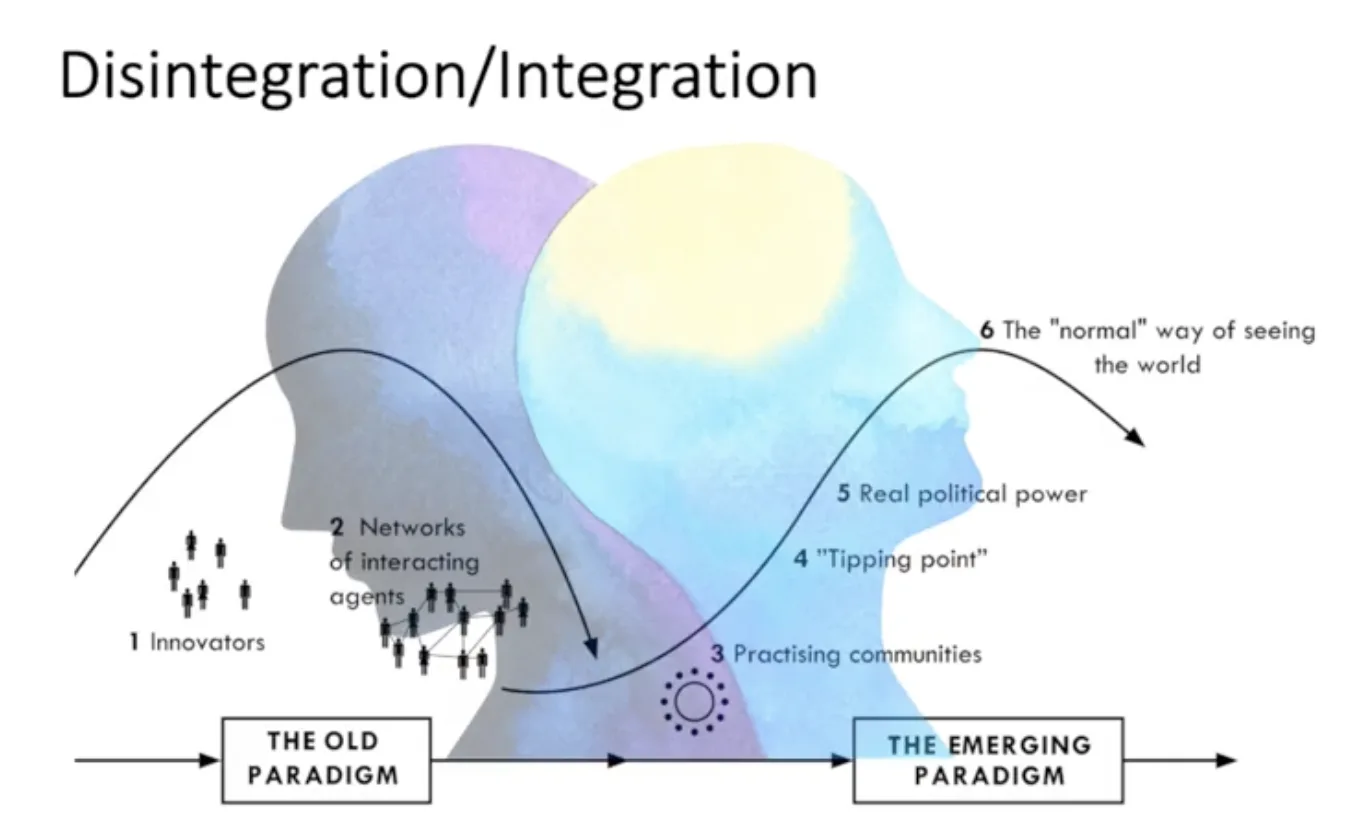 Disintegration/Integration – from the old paradigm to the emerging paradigm